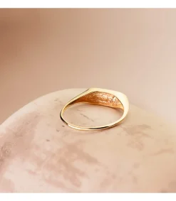 Anillo Sello Arc Oro 18K<Alda Joyeros Best