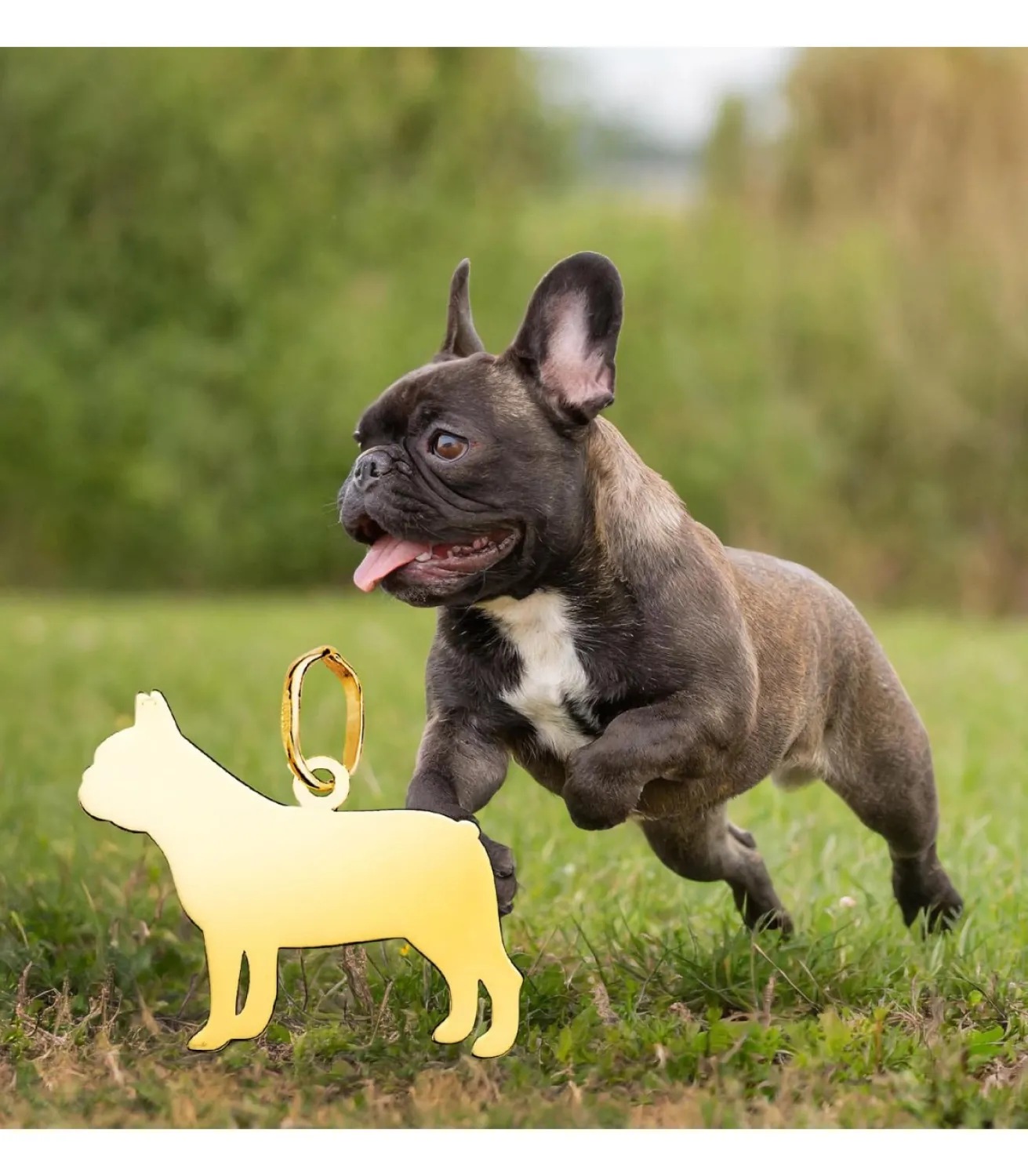 Bulldog Frances Colgante Personalizado Perro Oro 18K<Alda Joyeros Online