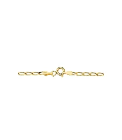 Cadena Bilbao 2.5 Mm 18 Ktes 50 Cm<Alda Joyeros Store