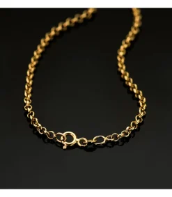 Cadena Rolo 2.5 Mm 18 Ktes 45 Cm<Alda Joyeros Discount