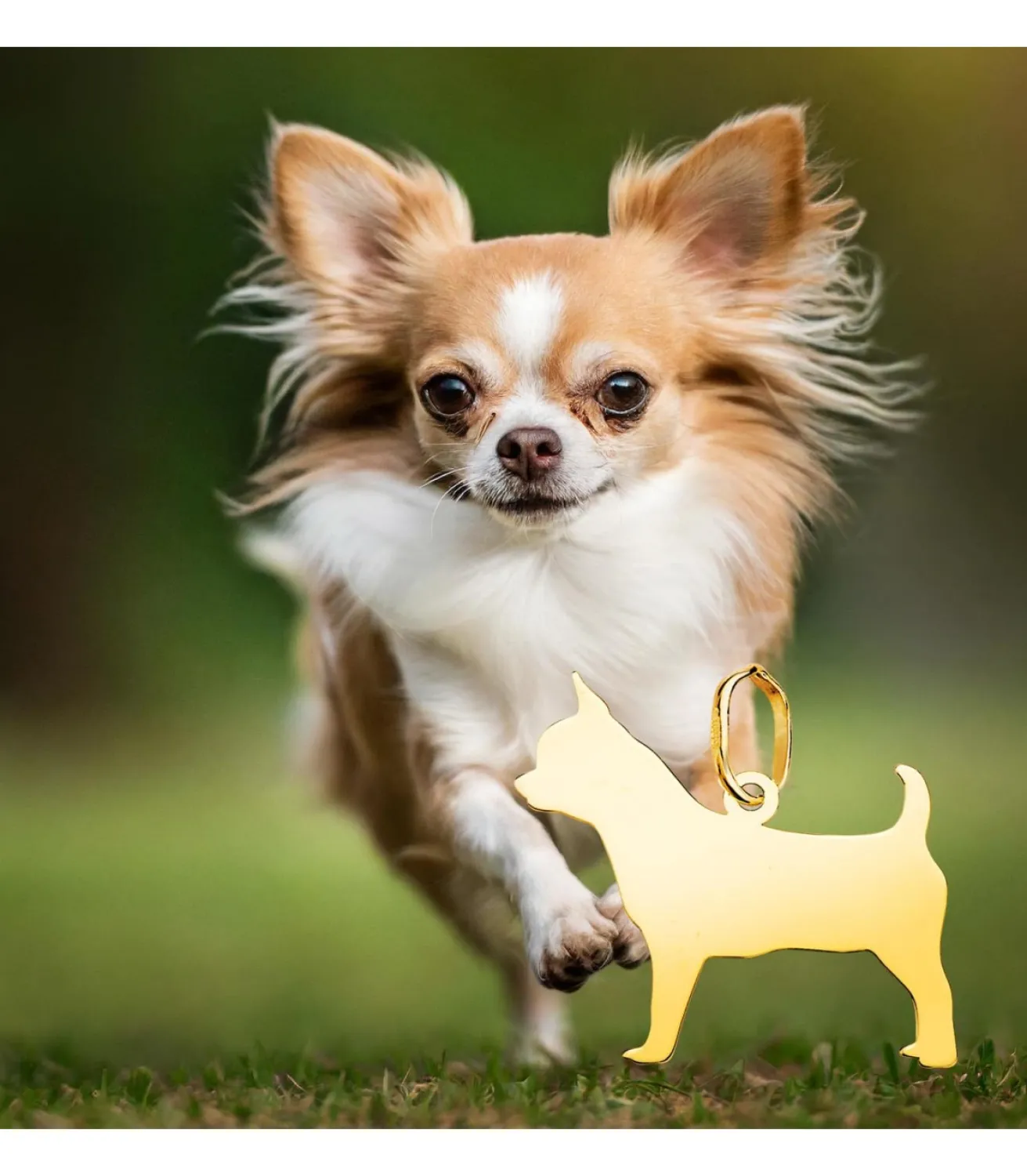 Chihuahua Colgante Personalizado Perro Oro 18K<Alda Joyeros Outlet