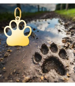 Colgante Huella Perro Personalizado Oro 18K<Alda Joyeros Best