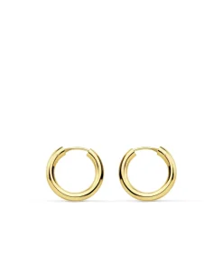 Pendientes Oro Amarillo Minerva 16Mm 18 Ktes<Alda Joyeros Hot