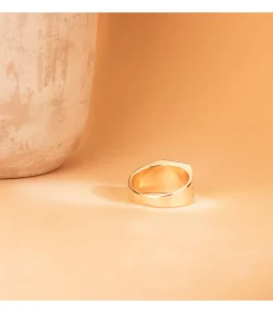 Sello De Oro Hombre Flor De Lis 18K<Alda Joyeros Online