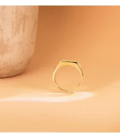 Sello De Oro Hombre Flor De Lis 18K<Alda Joyeros Online