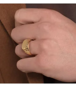 Sello Hombre Magnus Amarillo Oro 18K Macizo<Alda Joyeros Cheap