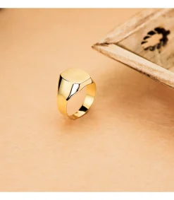 Sello Oro Hombre Mateo 18K<Alda Joyeros Hot